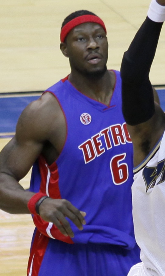 Ben Wallace, NBA player portrait